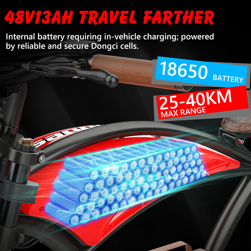 Hidoes B10 Electric Bike - 20 Hidoes B10 Electric Bike - 20