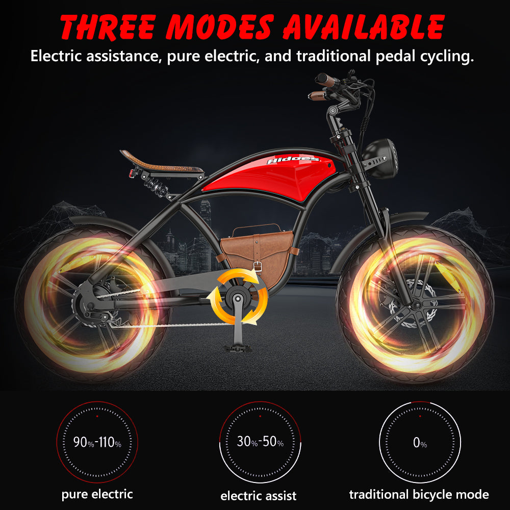 Hidoes B10 Electric Bike - 20 Hidoes B10 Electric Bike - 20