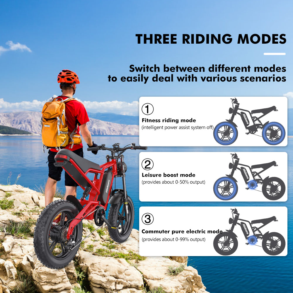 Hidoes B6 Electric Bike - 20 Hidoes B6 Electric Bike - 20