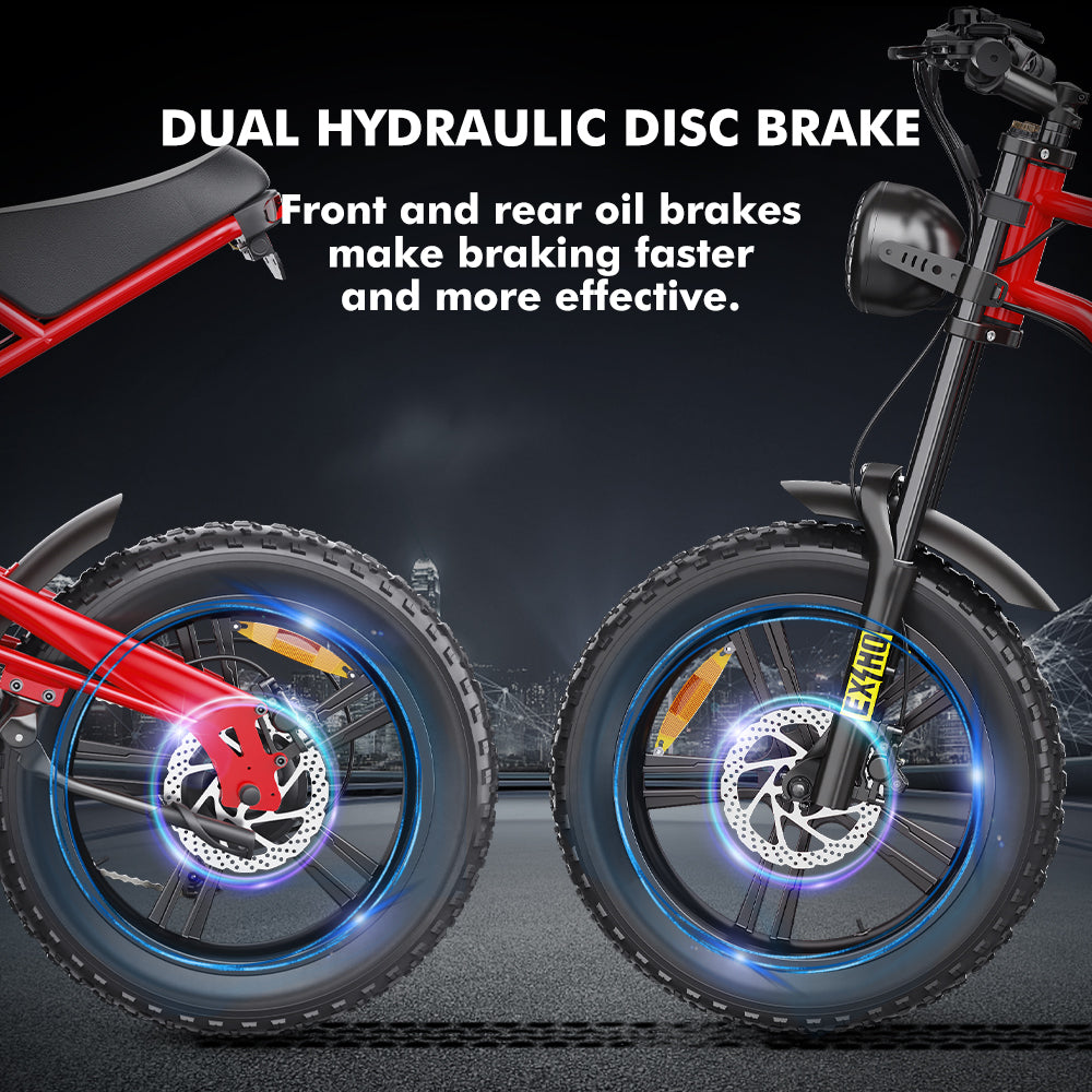 Hidoes B6 Electric Bike - 20 Hidoes B6 Electric Bike - 20