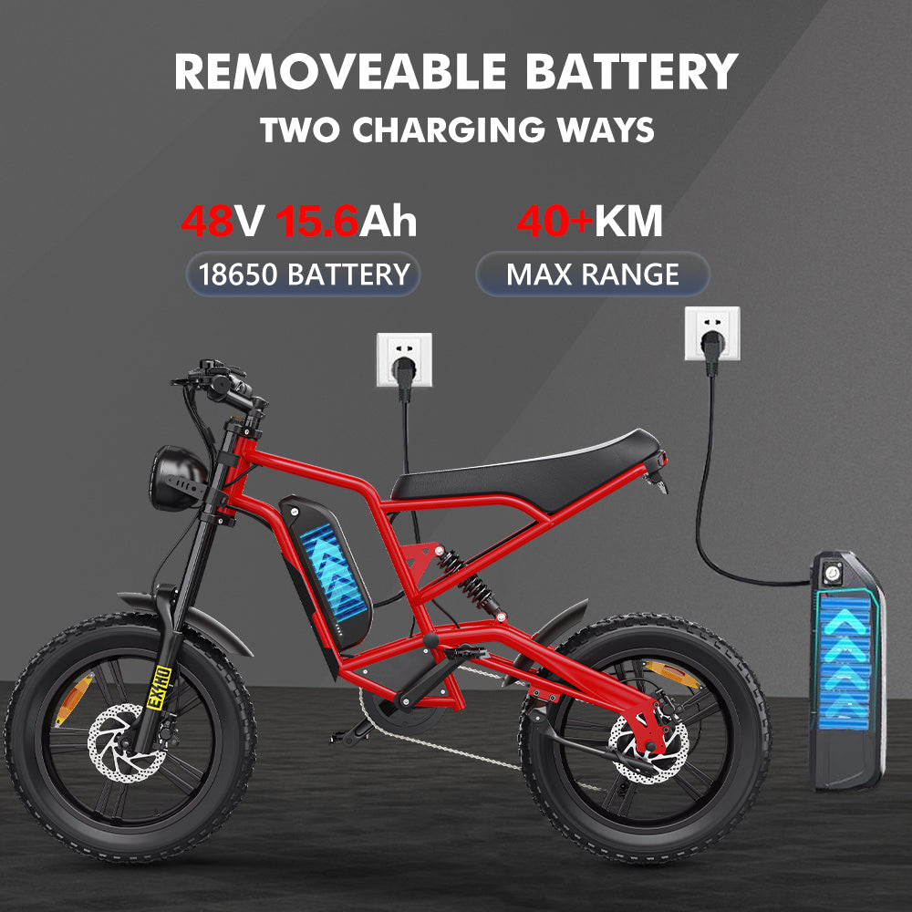 Hidoes B6 Electric Bike - 20 Hidoes B6 Electric Bike - 20